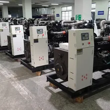 Autres cas de groupes électrogènes diesel