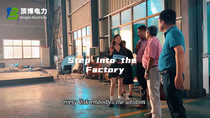 Les clients africains visitent l'usine de Dingbo