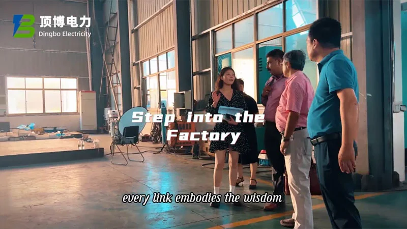 Les clients africains visitent l'usine de Dingbo