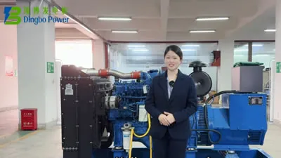 Daily Maintenance Guidance for Diesel Genset