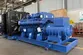 Groupe électrogène diesel avec le moteur Yuchai DB-1800GF